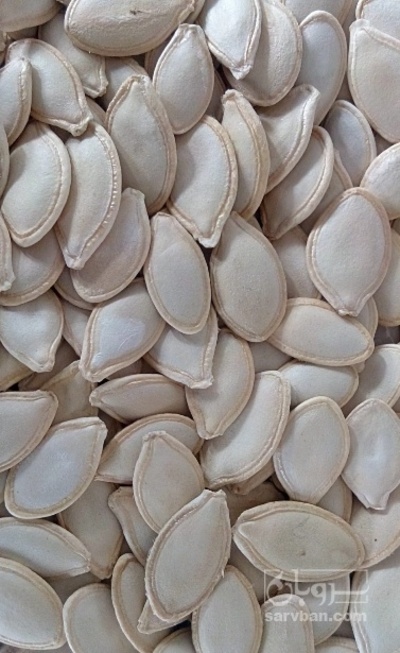 فروش تخمه  کدو