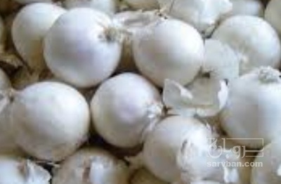 فروش پیاز سفید