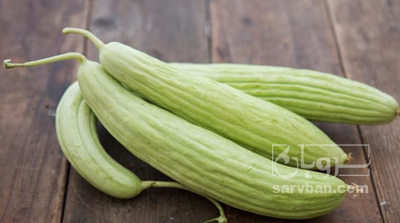 فروش خیارچنبر