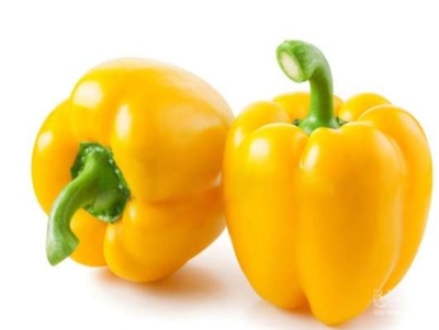 فروش فلفل دلمه ای زرد