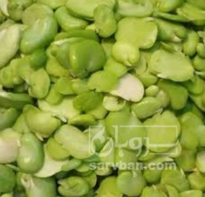 فروش باقلا منجمد