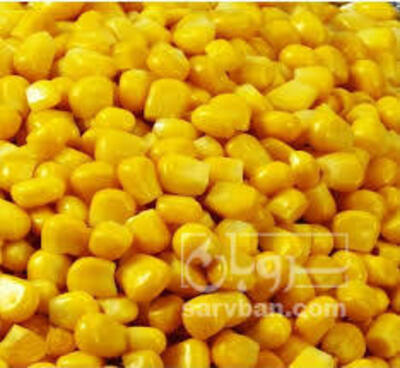 فروش ذرت منجمد
