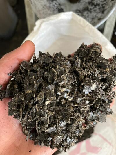 فروش کنجاله آفتابگردان