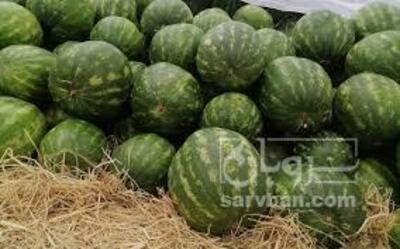 فروش هندوانه