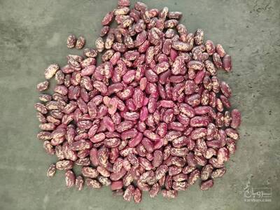 فروش لوبیا چیتی صنعتی