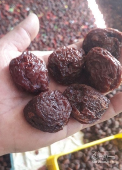 فروش آلو شابلون خشک