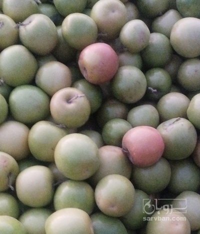 فروش کنار سیبی