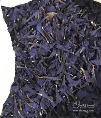 فروش گل گاو زبان - گاوزبان (گیاه‌ دارویی)