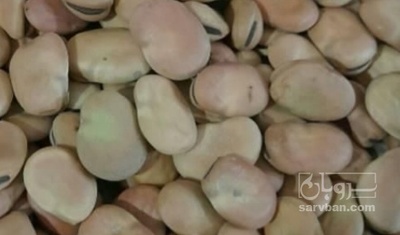 فروش باقلا تازه - باقالی - باقالا