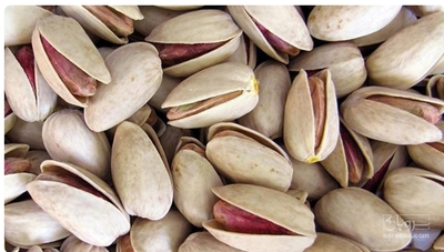 فروش پسته