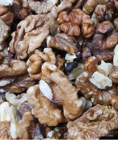 فروش گردو