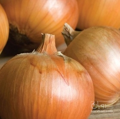 فروش پیاز زرد