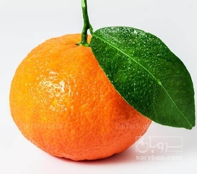 فروش نارنگی