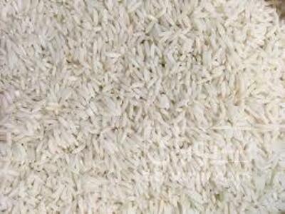 فروش برنج هاشمی