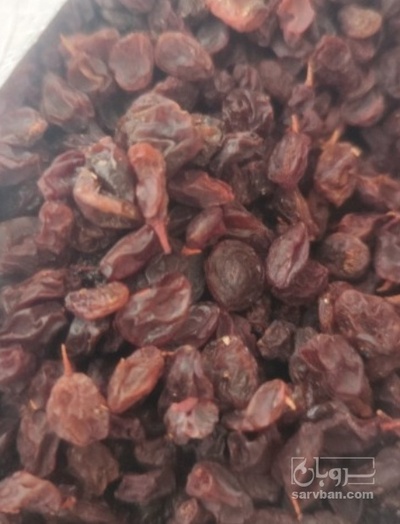 فروش کشمش افتابی بی دانه