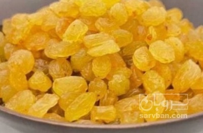 فروش کشمش طلایی