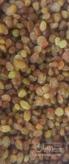 فروش کشمش پلویی قهوه ایی