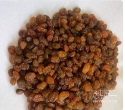 فروش کشمش
