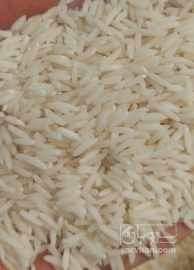 فروش برنج هاشمی