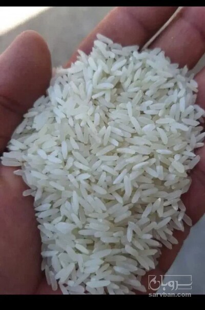 فروش برنج