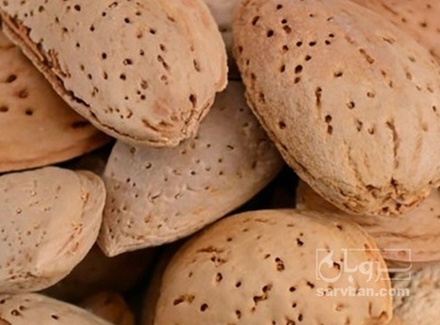 فروش بادام سنگی