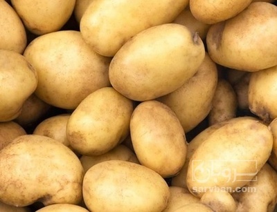 فروش سیب زمینی جلی بذری 400