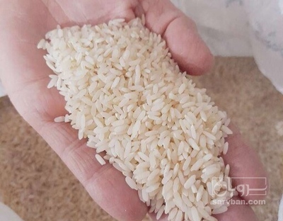 فروش برنج سرخه