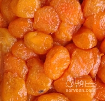 فروش آلو بخارا رقم شوقان