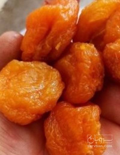 فروش آلو بخارا رقم حسنی