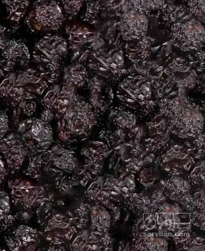 فروش آلبالو خشک