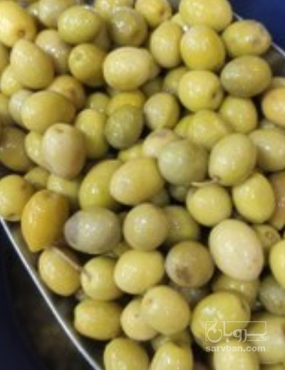 فروش زیتون ریز یا جنگلی