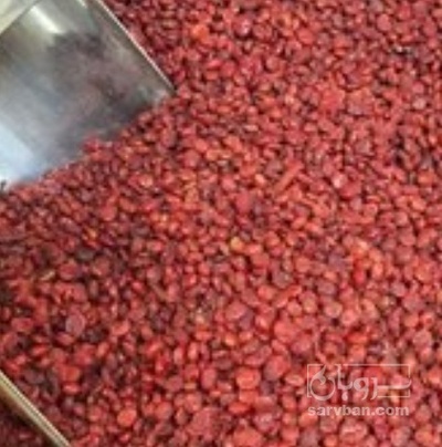 فروش سماق دانه قرمز