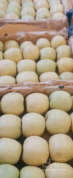 فروش سیب زرد