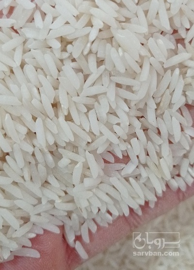 فروش برنج هاشمی