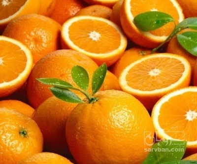 فروش پرتقال