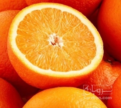 فروش پرتقال