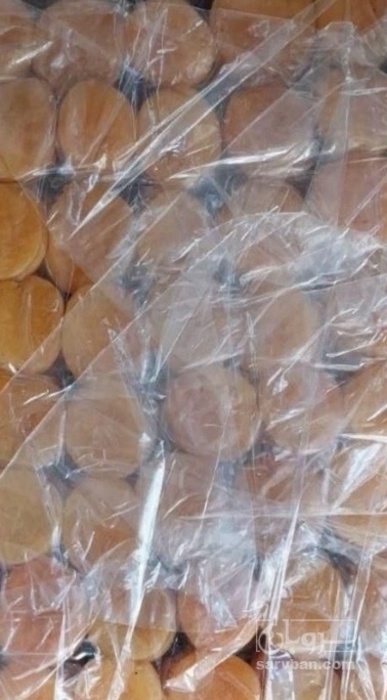 فروش برگه قیسی