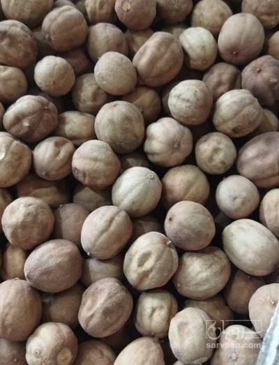فروش لیمو خشک