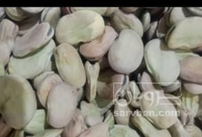 فروش باقلا تازه - باقالی - باقالا