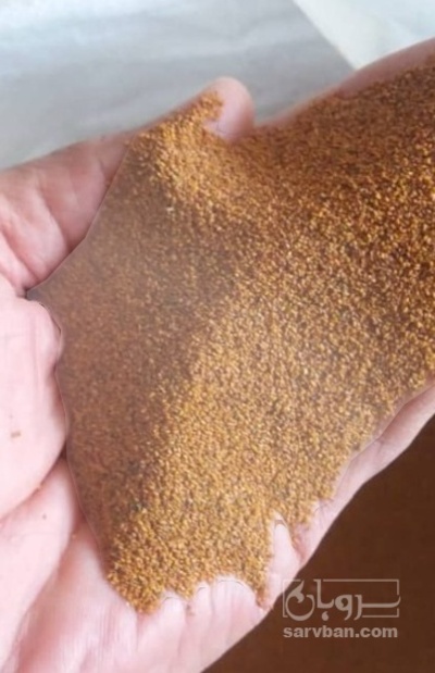 فروش خاکشیر (گیاه‌ دارویی)