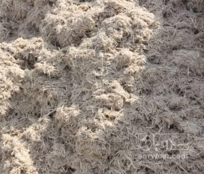 فروش کاه نیشکر