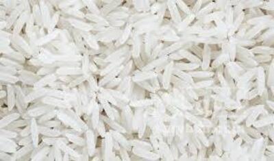 فروش برنج هاشمی