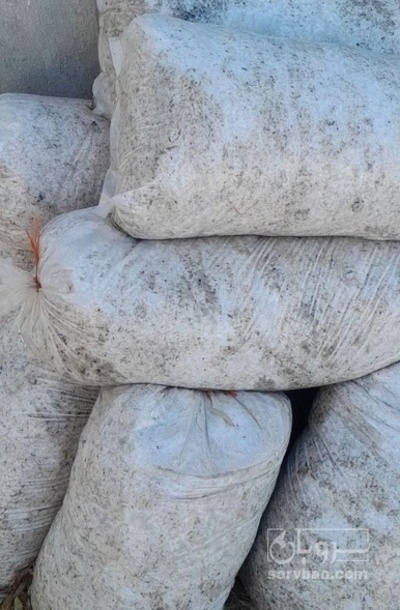 فروش تفاله  چغندر قند تر