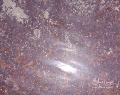 فروش  تفاله سیب