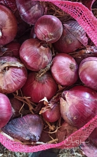 فروش پیاز قرمز انباری
