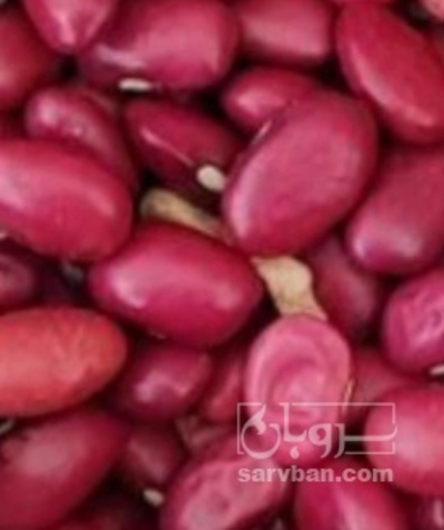 فروش لوبیا قرمز