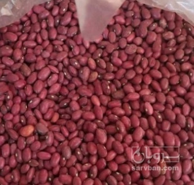 فروش لوبیا قرمز