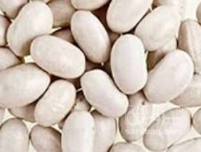 فروش لوبیا سفید