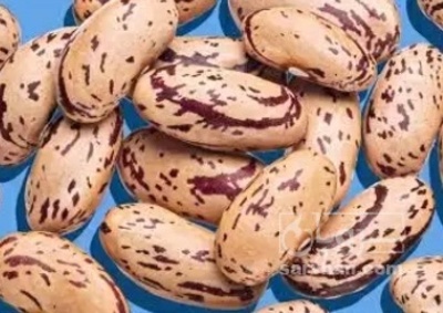 فروش لوبیا چیتی