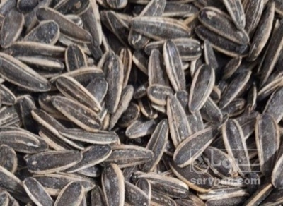 فروش تخمه آفتابگردان بود داده